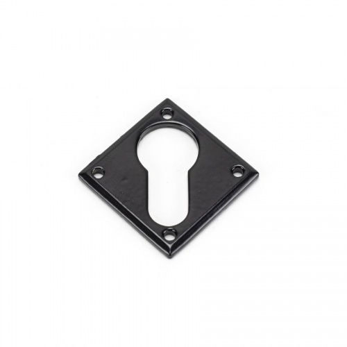 Black Diamond Escutcheon